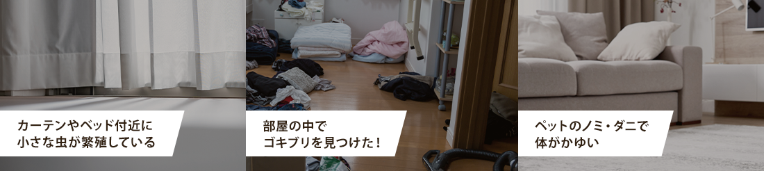 カーテンやベッド付近に小さな虫が繁殖している、部屋の中でゴキブリを見つけた、ペットのノミ・ダニで体がかゆい