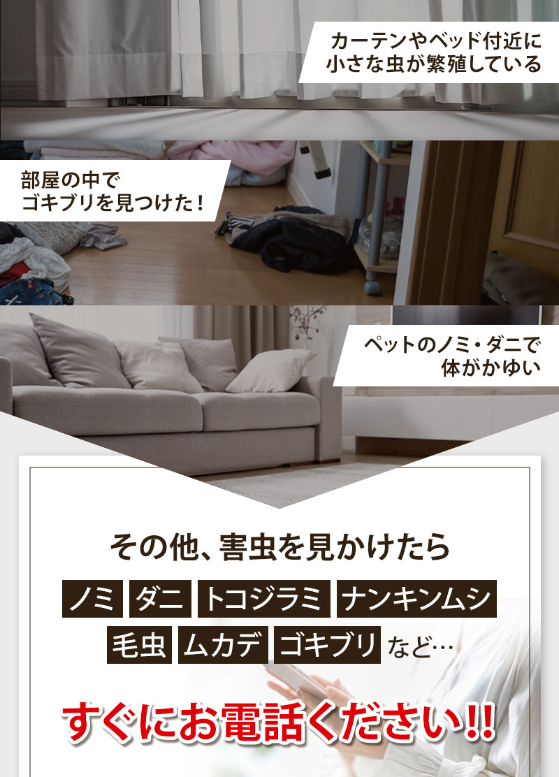 害虫を見かけたらすぐにお電話ください！
