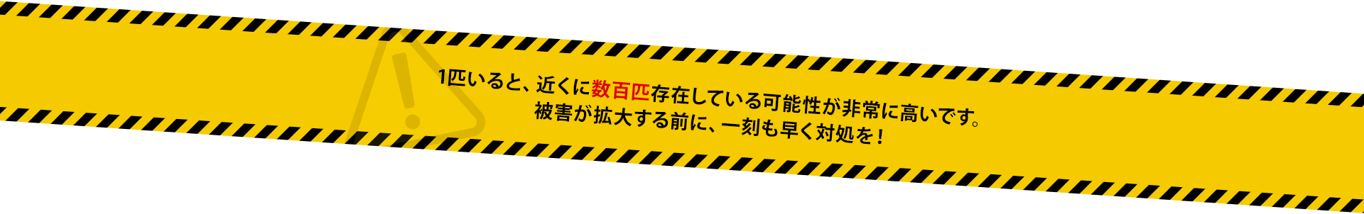 １匹いると、近くに数百匹存在している可能性が非常に高いです。被害が拡大する前に一刻も早く対処を！