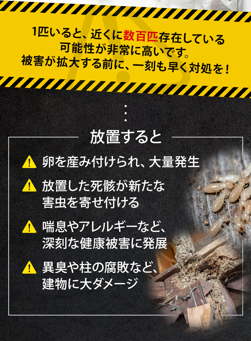 1匹いると、近くに数百匹存在している可能性が非常に高いです。被害が拡大する前に、一刻も早く対処を！