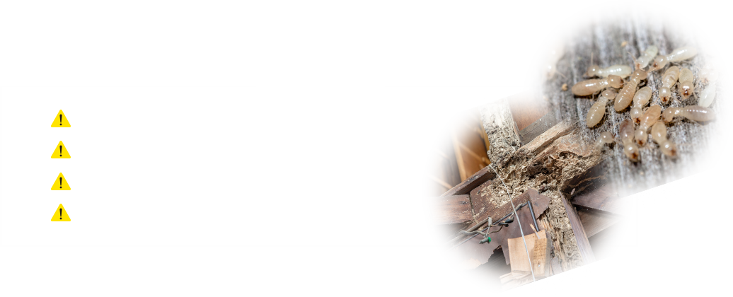 放置すると・・・卵を産み付けられ大量発生、放置した死骸が新たな害虫を寄せ付ける、嘔吐やアレルギーなど深刻な健康被害に発展、異臭や柱の腐敗など建物に大ダメージ