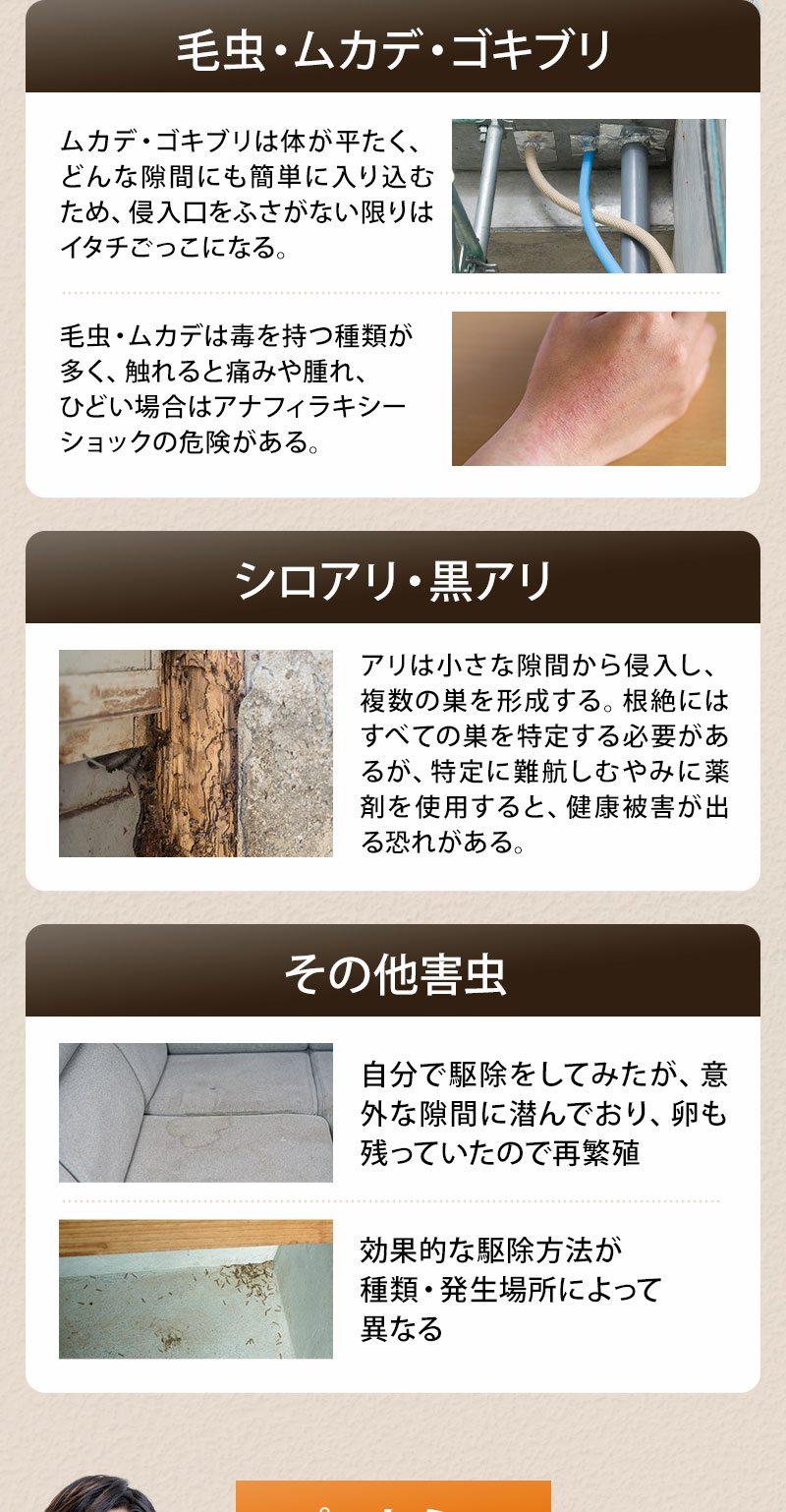 毛虫・ムカデ・ゴキブリ・白アリ・黒アリ・その他害虫