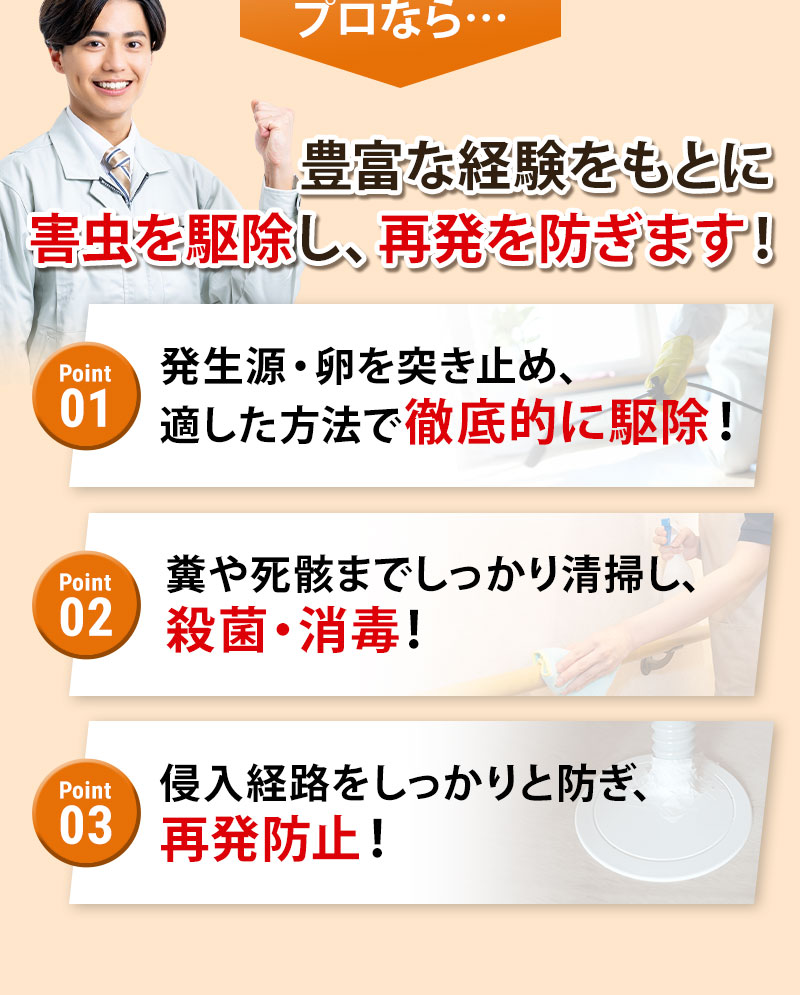 プロなら、豊富な経験をもとに害虫を駆除し、再発を防ぎます！