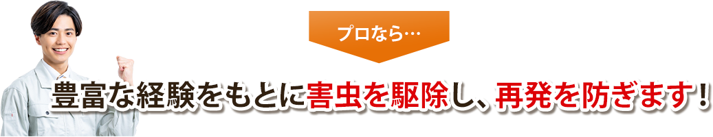 豊富な経験をもとに害虫を駆除し、再発を防ぎます