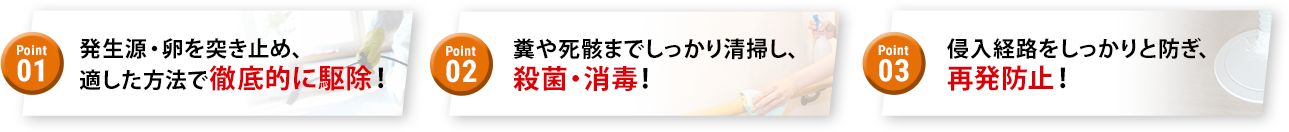 01発生源卵を突き止め適した方法で徹底的駆除！02糞や死骸までしっかり清掃し殺菌消毒！03侵入経路をしっかりと防ぎ再発防止！