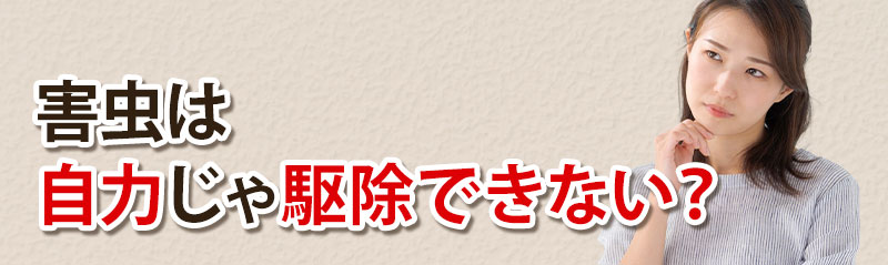 害虫は自分じゃ駆除できない?