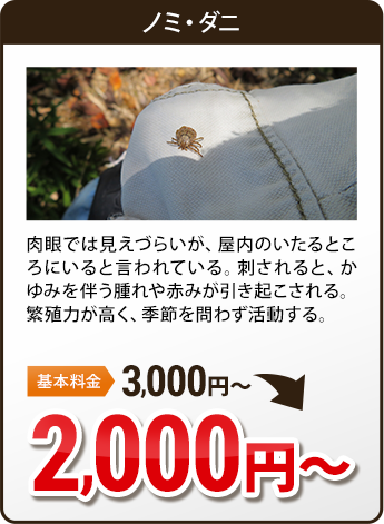 毛虫・ムカデ・ゴキブリ