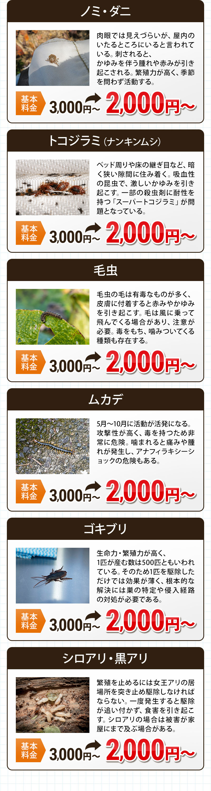 ノミダニ・トコジラミ南京虫・毛虫・ムカデ・ゴキブリ・白アリ黒アリ
