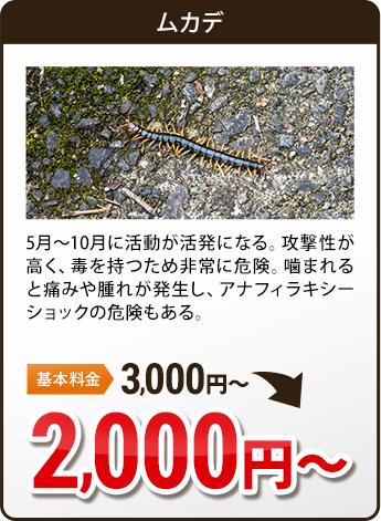 毛虫・ムカデ・ゴキブリ