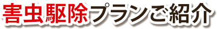 害虫駆除プランをご紹介