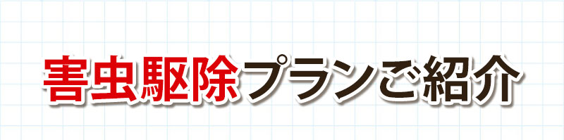 害虫駆除プランをご紹介