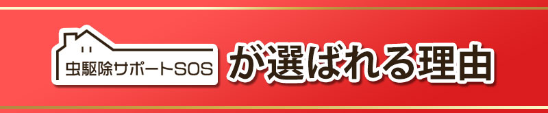 虫駆除サポートSOSが選ばれる理由