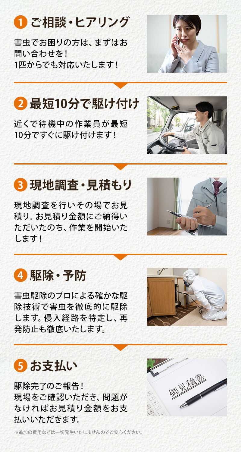 1相談ヒアリング・2最短10分で駆け付け・3現地調査見積もり・4駆除予防・5お支払い