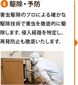 4駆除予防