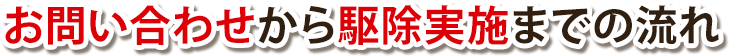虫駆除サポートSOSが選ばれる理由
