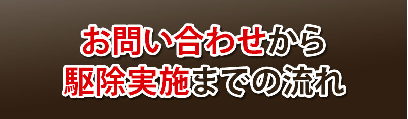 お問い合わせから駆除実施までの流れ