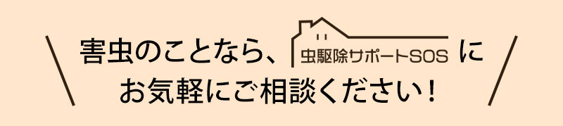 害虫のことなら虫駆除サポートSOSにお気軽にご相談下さい！