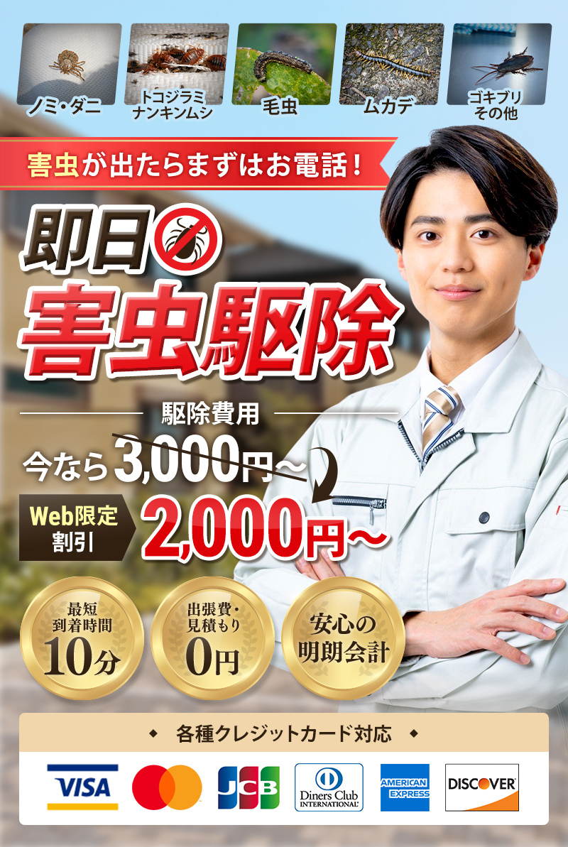 虫駆除サポートSOS